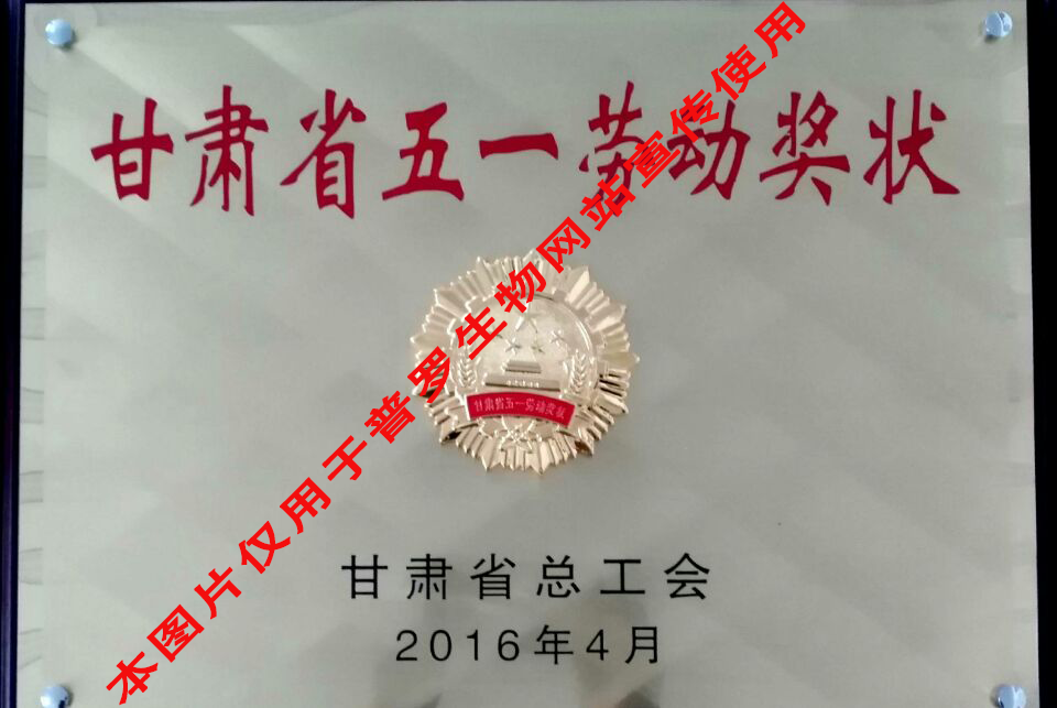 甘肅省五一勞動(dòng)獎(jiǎng)